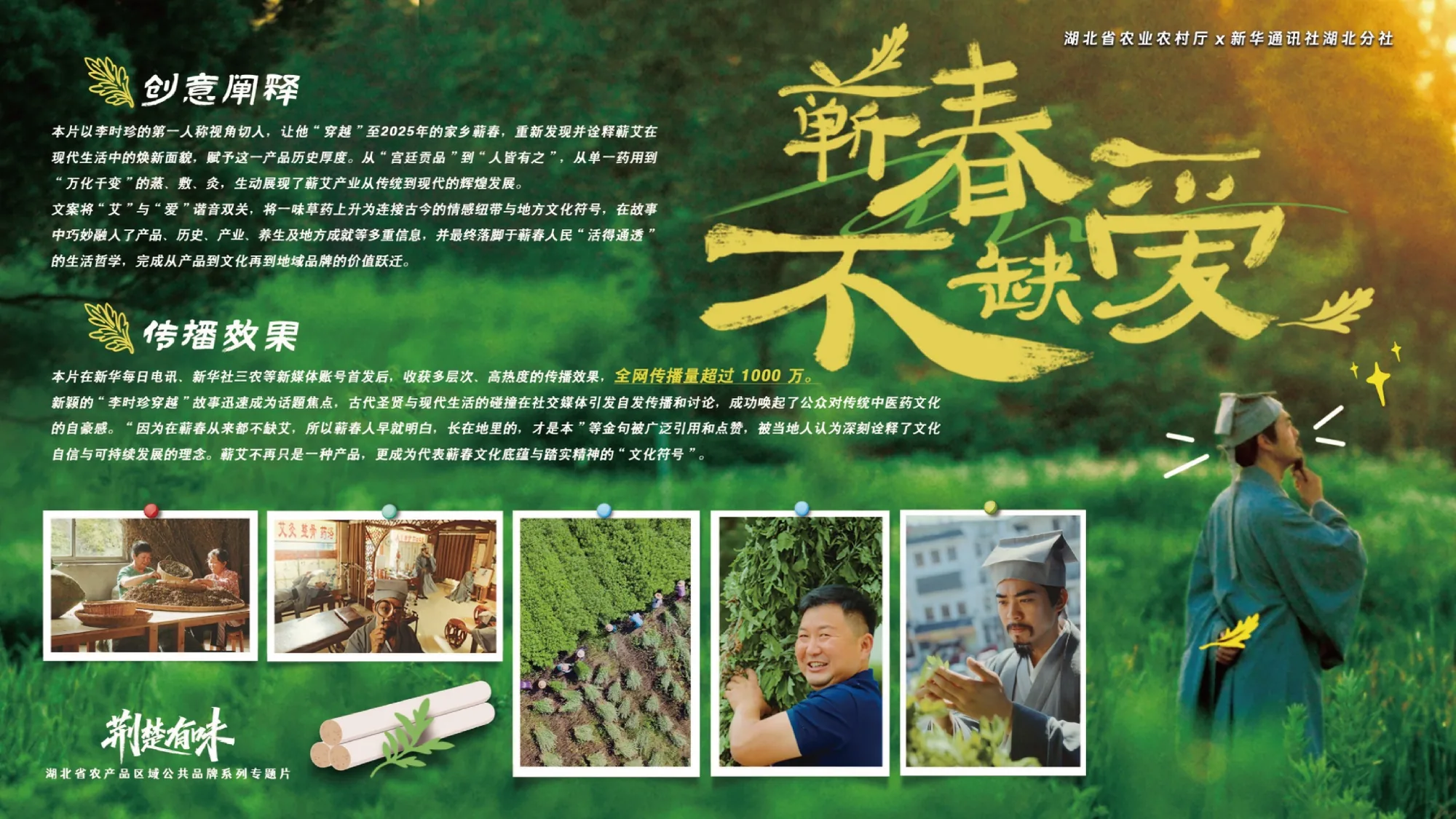 《蕲春不缺艾》案例视觉