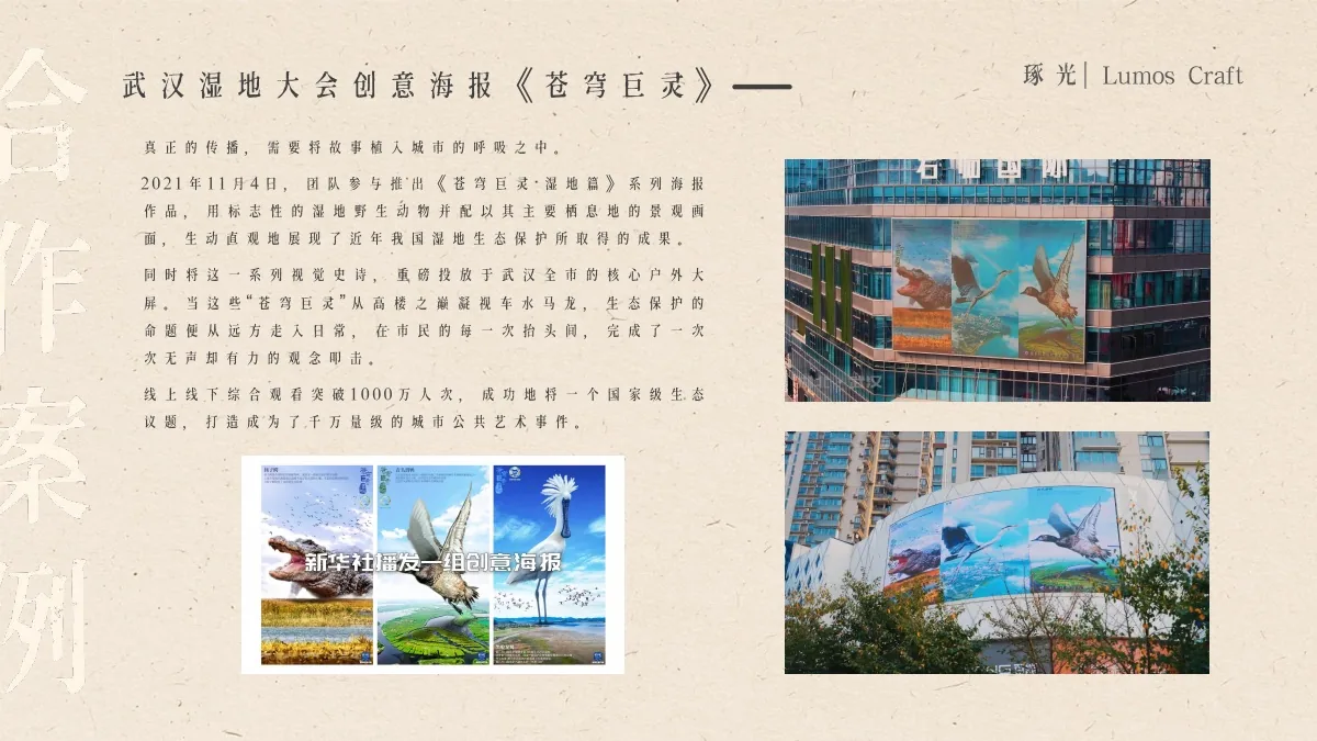 《苍穹巨灵 - 湿地篇》案例视觉